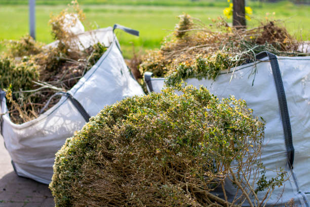 Best Estate Cleanout  in St Francis, WI
